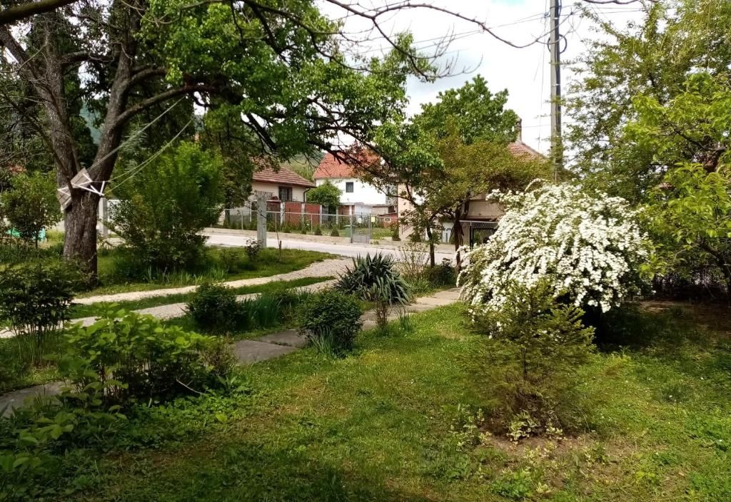 Apartman Otvoreno polje