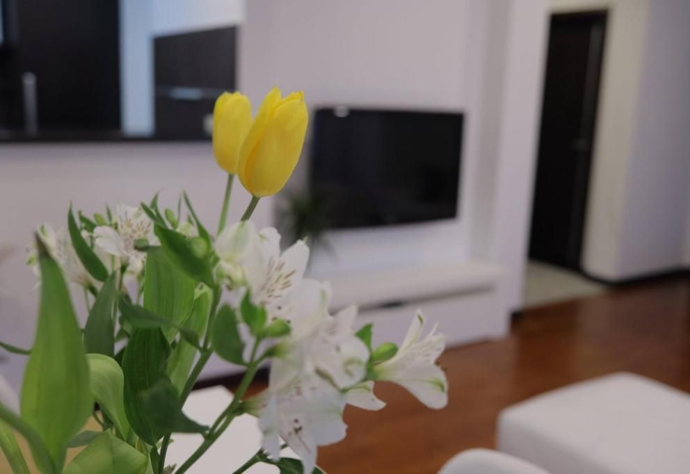 Harmony Apartmani Arandjelovac