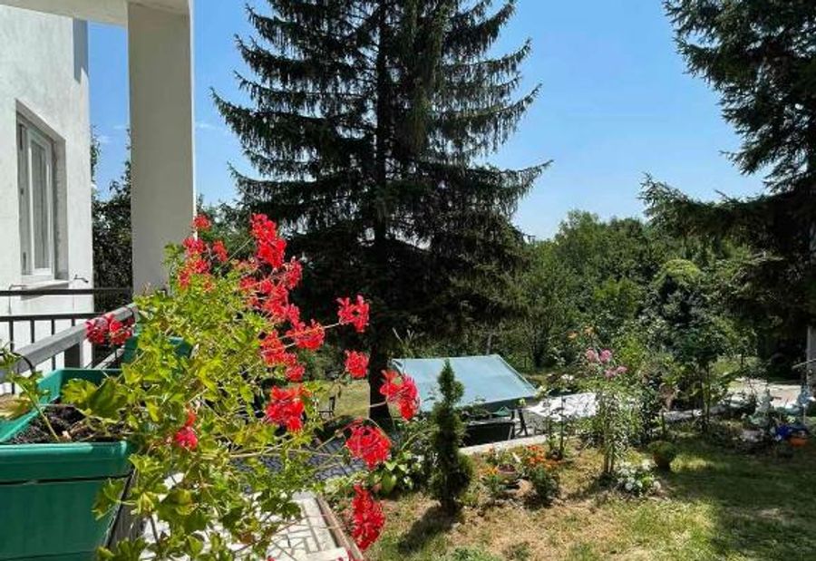 Planinska Ruza