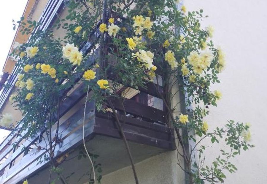 Apartman "Milka" Bajina Bašta