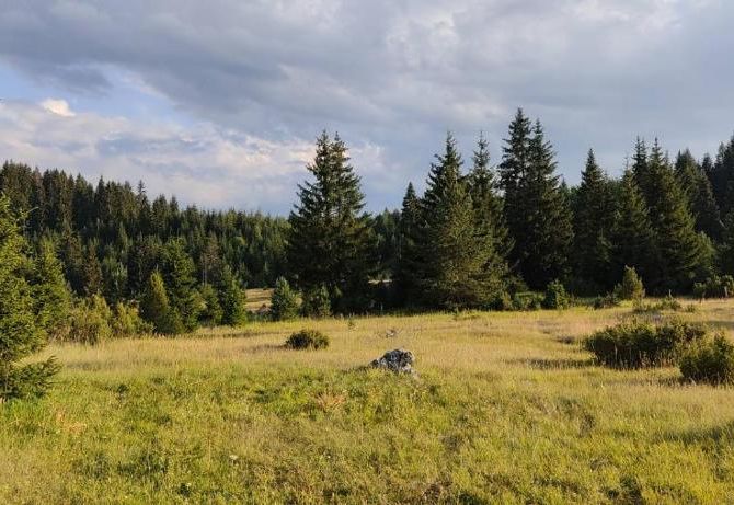 Apartman Vukan