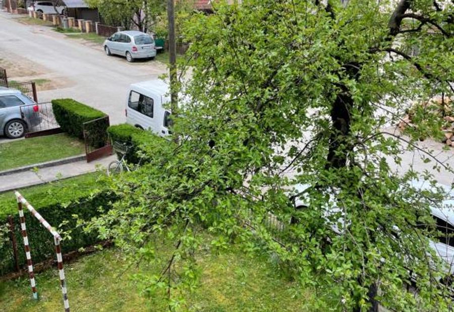 Dana apartman