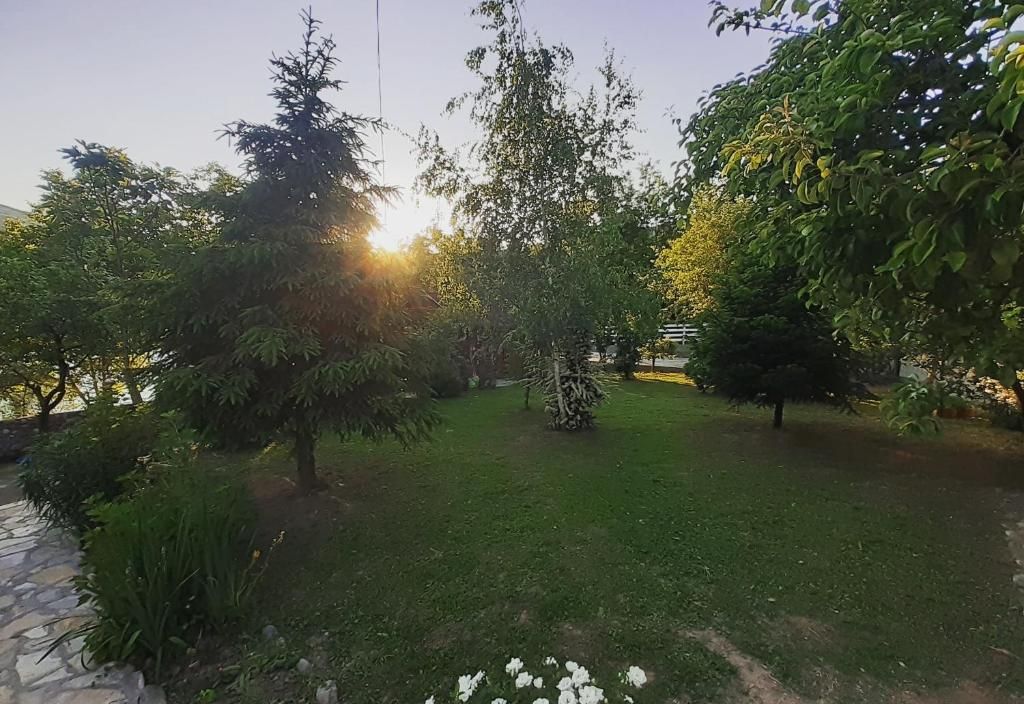 Negde na Drini 1