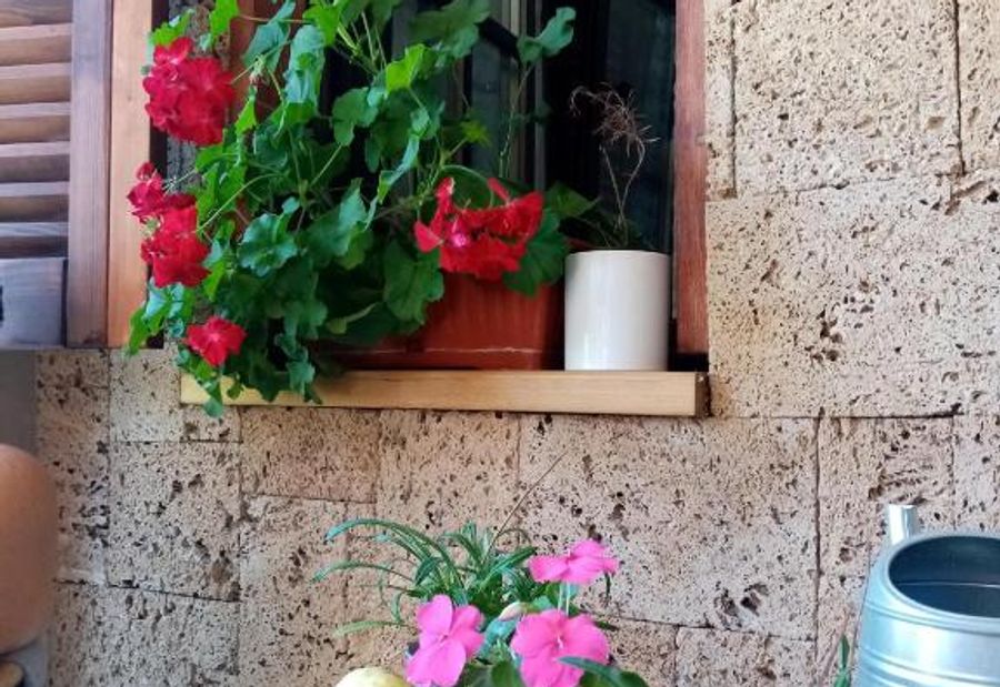 NIKOLIJA 1