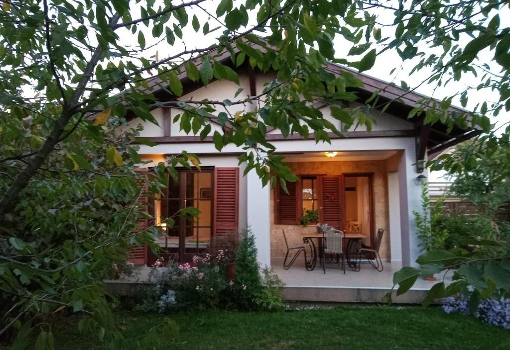 NIKOLIJA 1