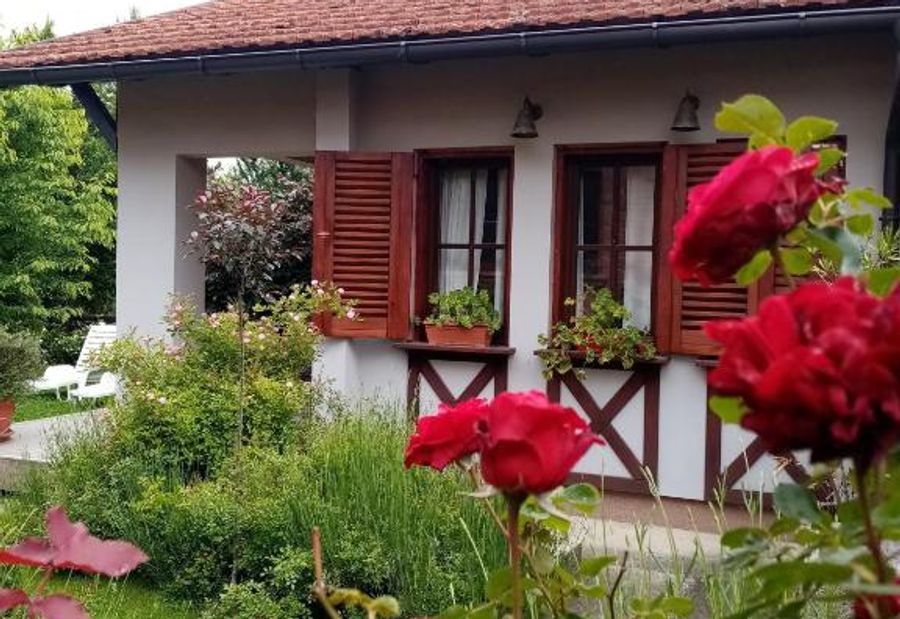 NIKOLIJA 1