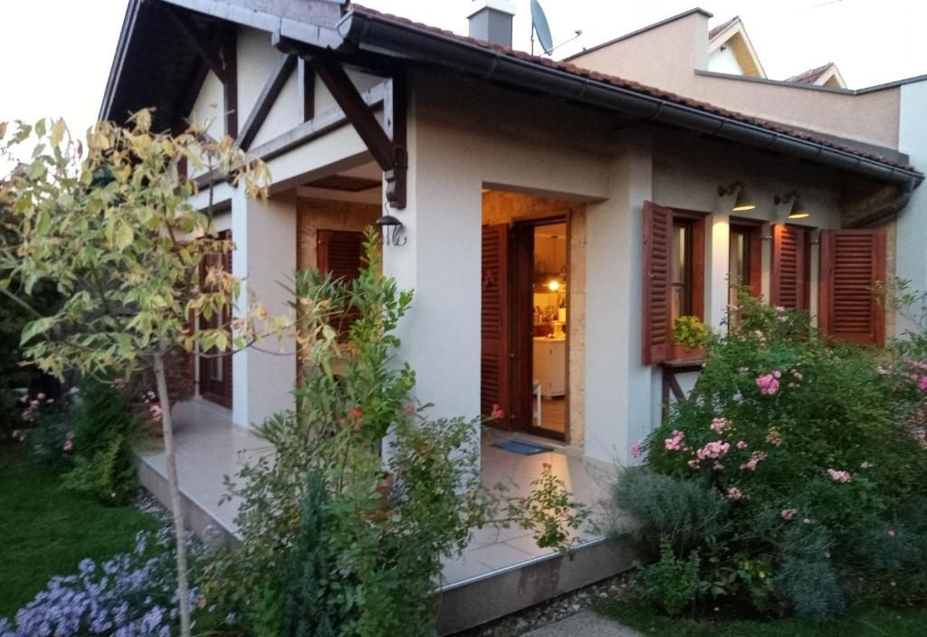 NIKOLIJA 1