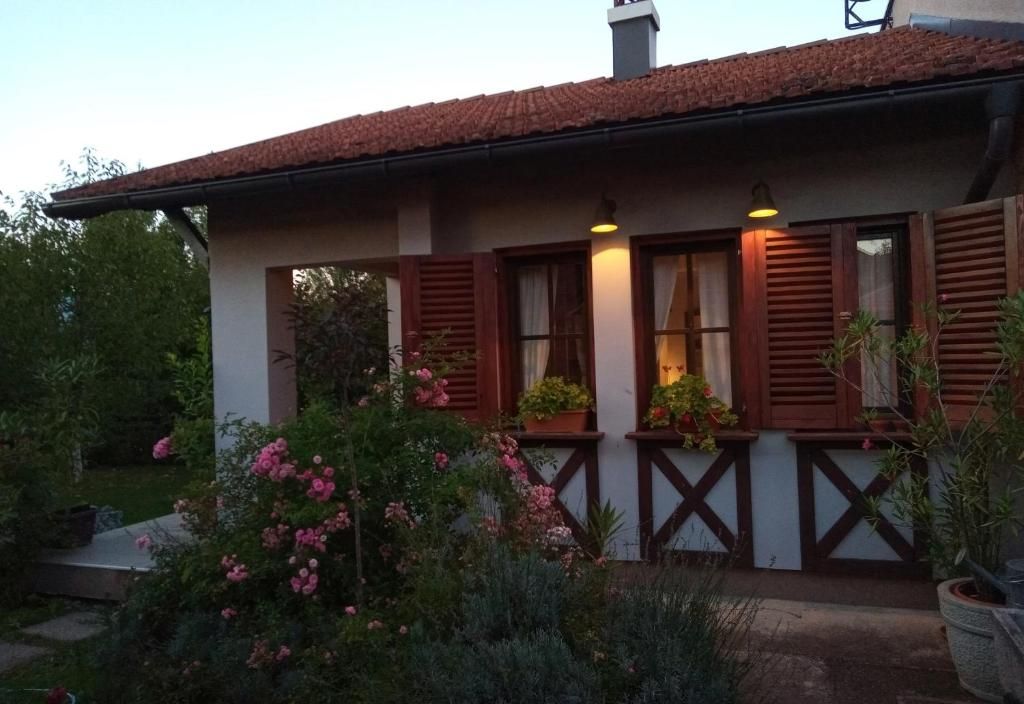 NIKOLIJA 1