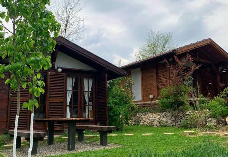 NIKOLIJA 2