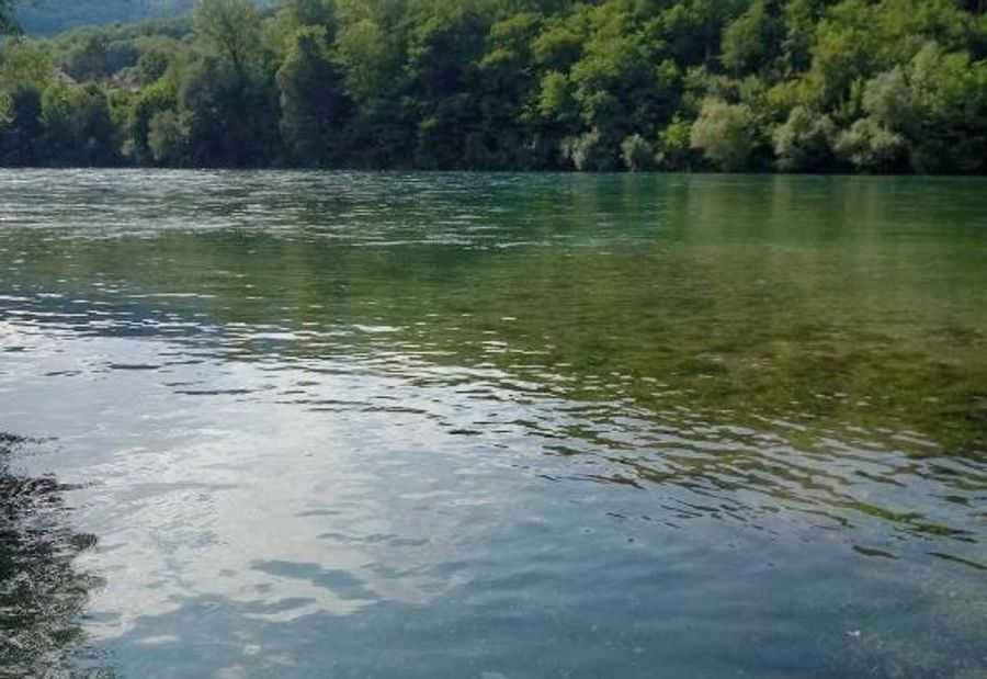 NIKOLIJA 2