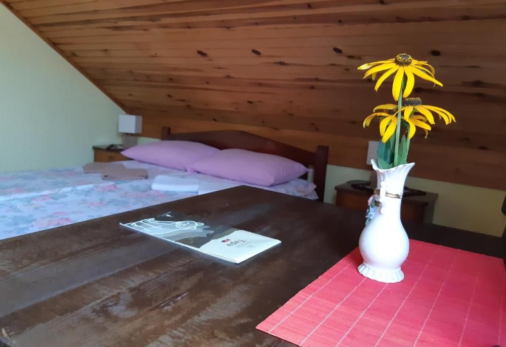 Putnicka kuca kod Dragane