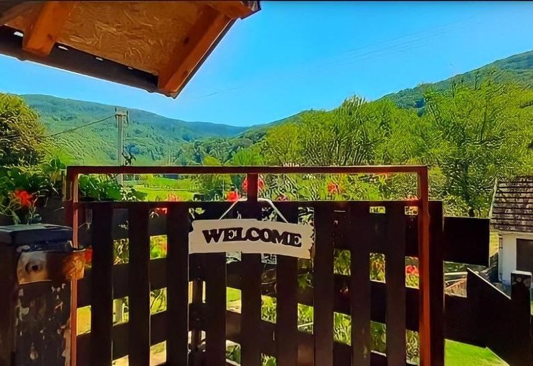 Smeštaj PETRONIJEVIĆ Bajina Bašta