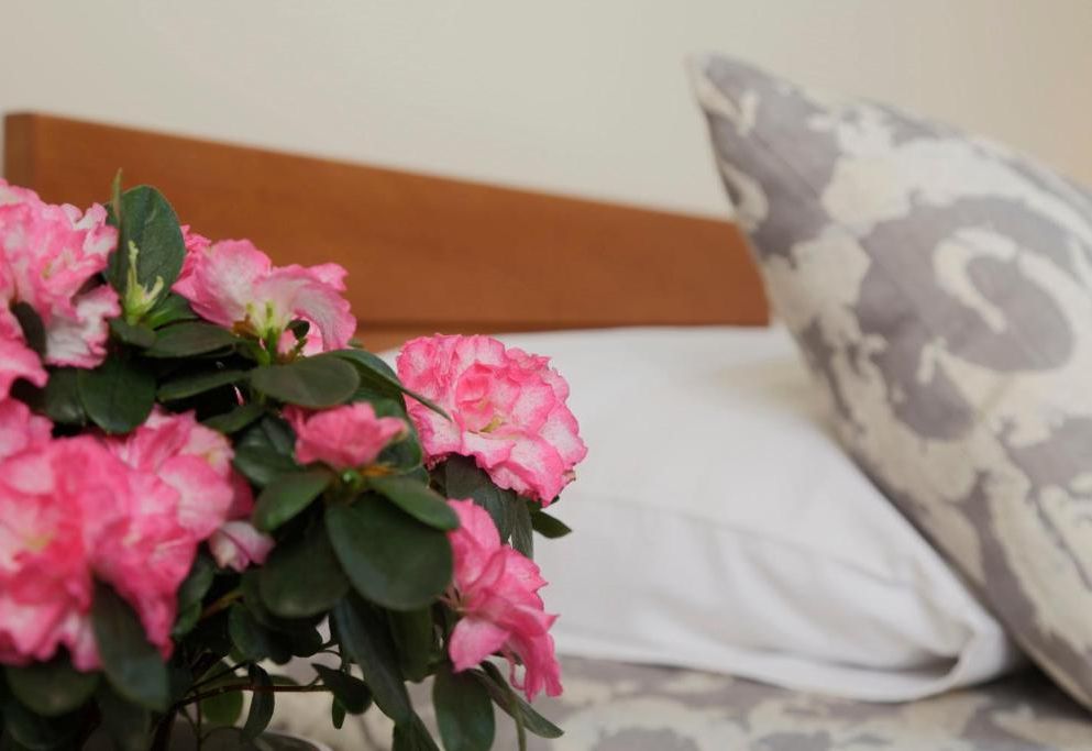 Accommodation Tara