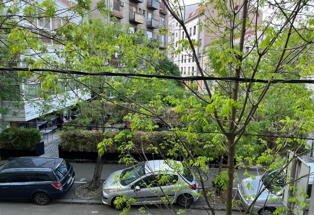 Apartment Ana - City Center
