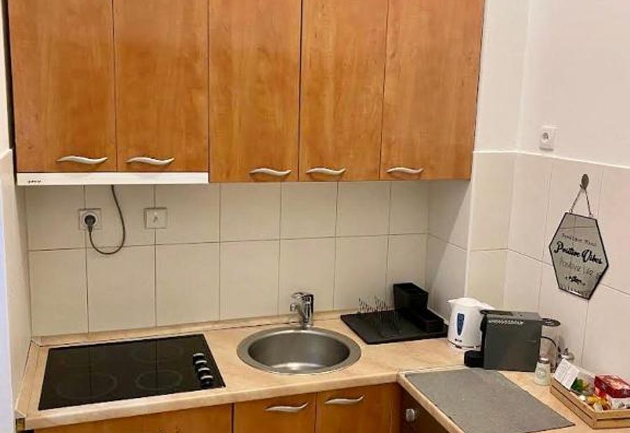 Apartment ARENA 28