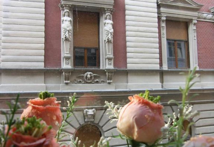 Apartment Danijela-City Centar