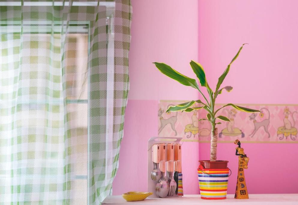 Apartment Dorcol