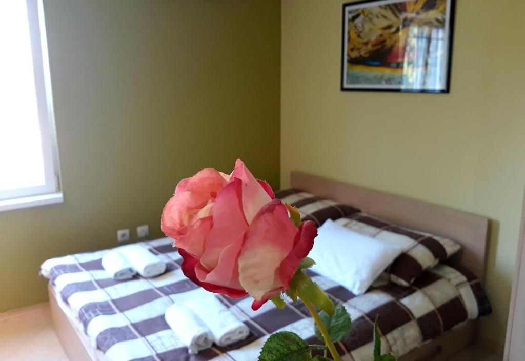 Apartments Popovic