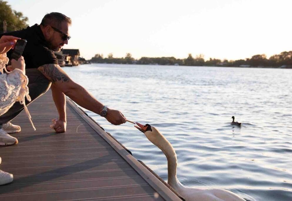 Buena Vista- Floating house Belgrade Sava River