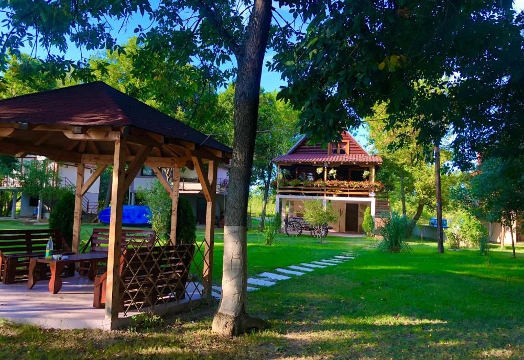 Dunavska lepotica 1