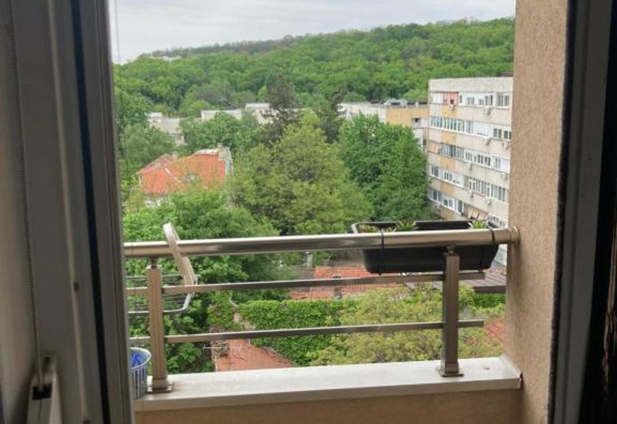 Forest View