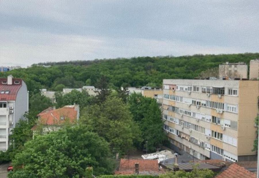 Forest View