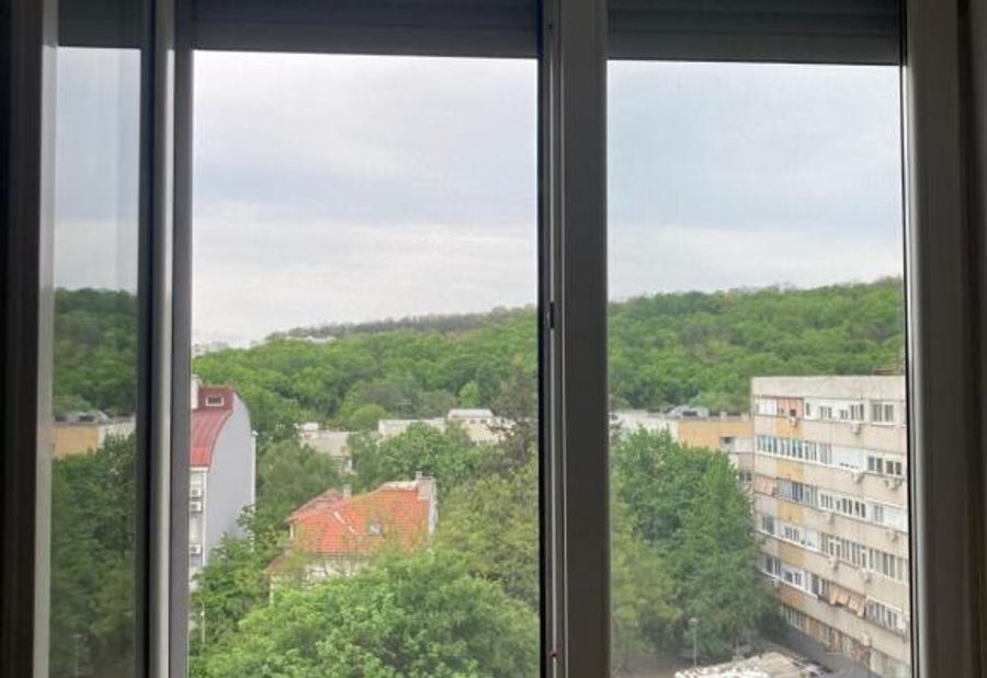 Forest View
