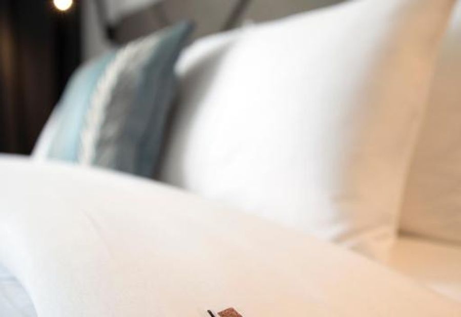 Hotel Botanica