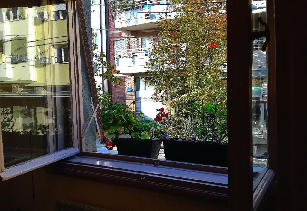 Jelena Apartment