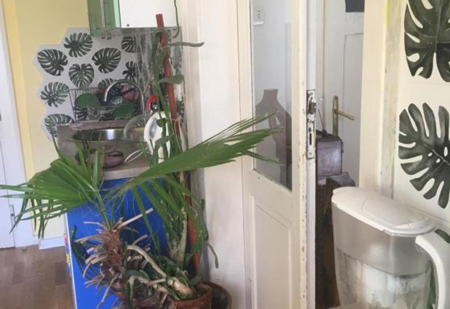 Joyful Africa inspired flat in historical&hip area