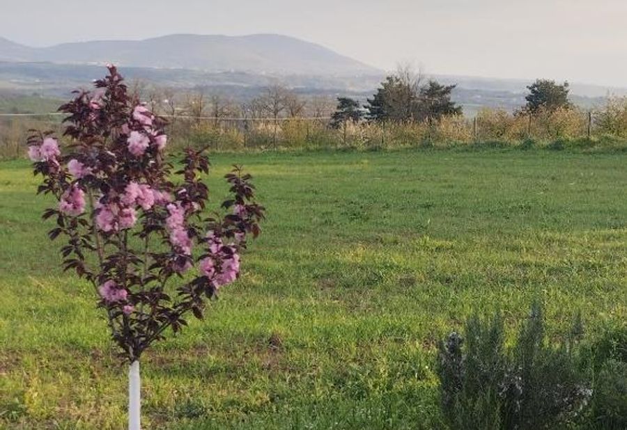 KosMajDan Belgrade, Sopot