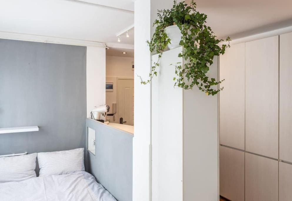 Lovely Studio with a big terrace