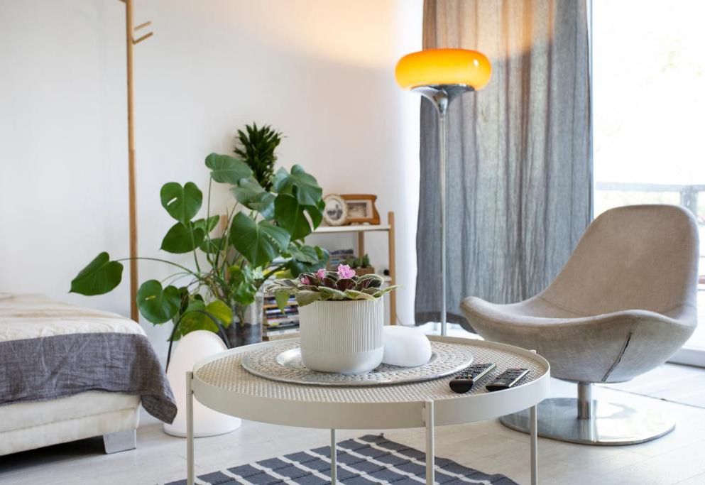 River house Grana