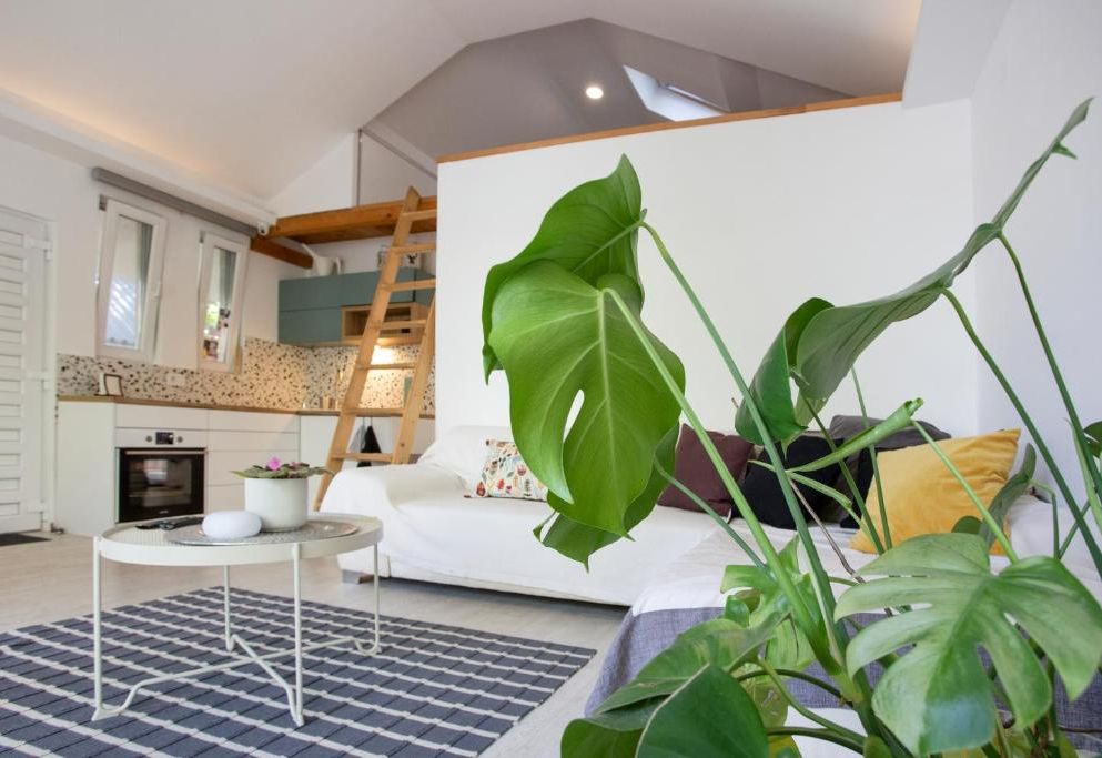 River house Grana