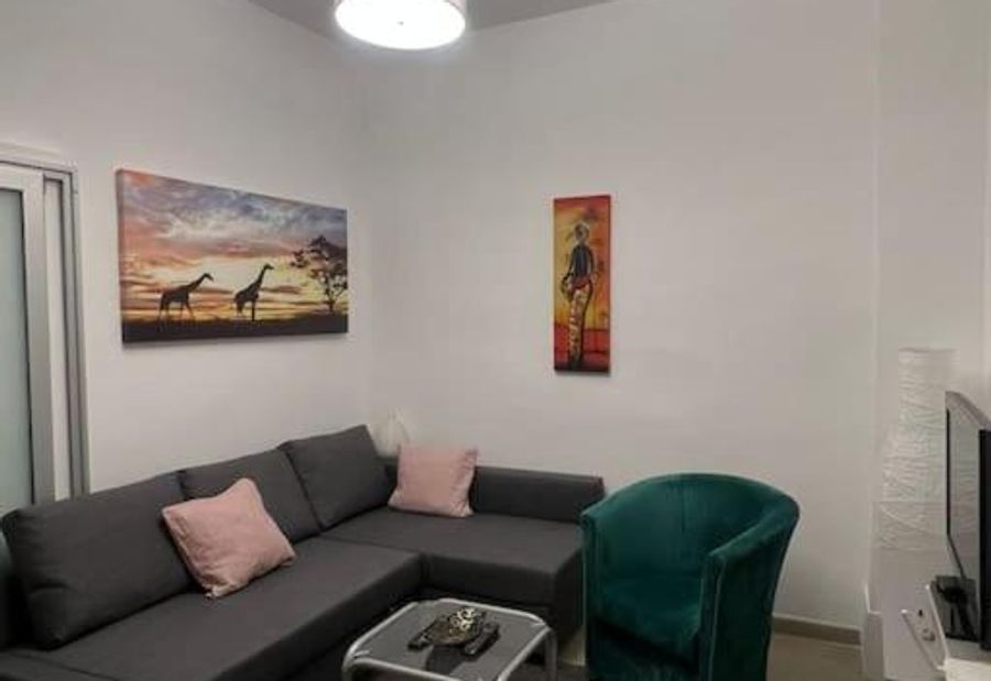 Sany Center Apartment
