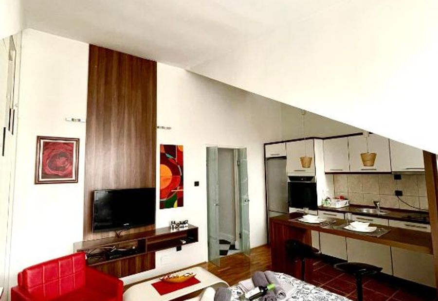 TRIANGLE CITY Apartment 1