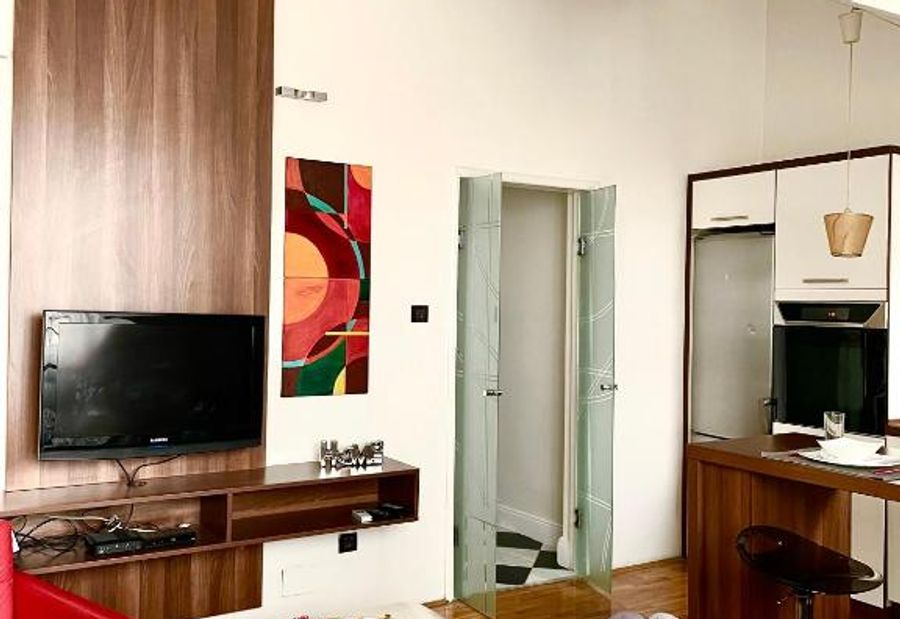 TRIANGLE CITY Apartment 1