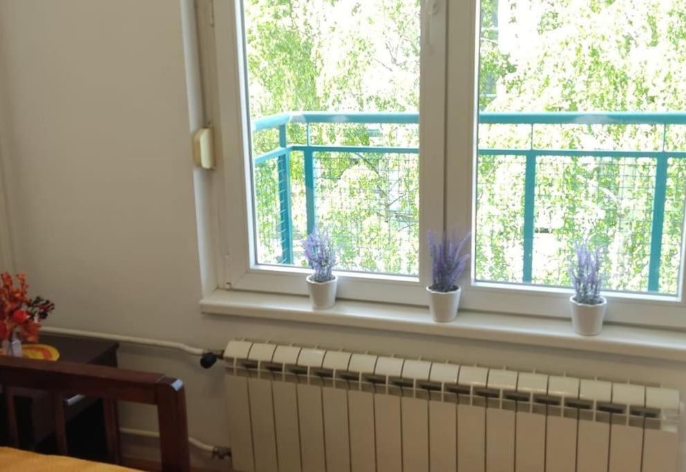 Twenty-one apartman