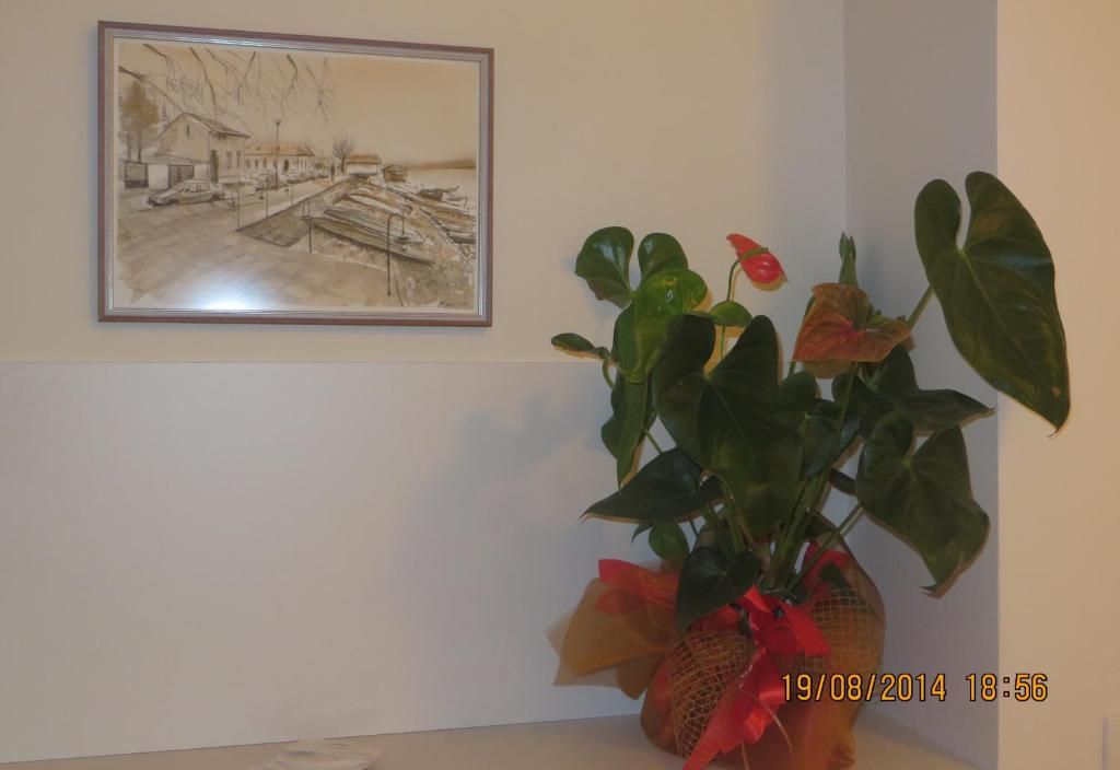 Villa Marija M L
