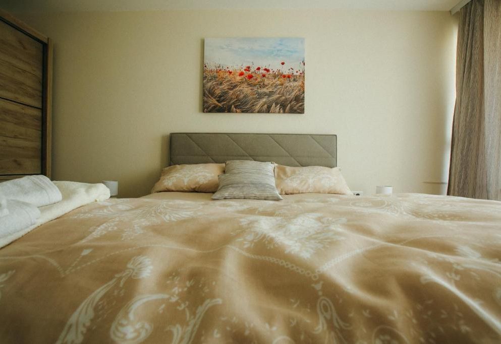 Apartman Lazaro Cacak