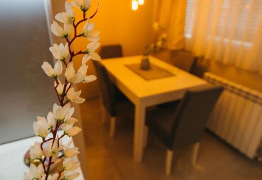Apartman Lazaro Cacak