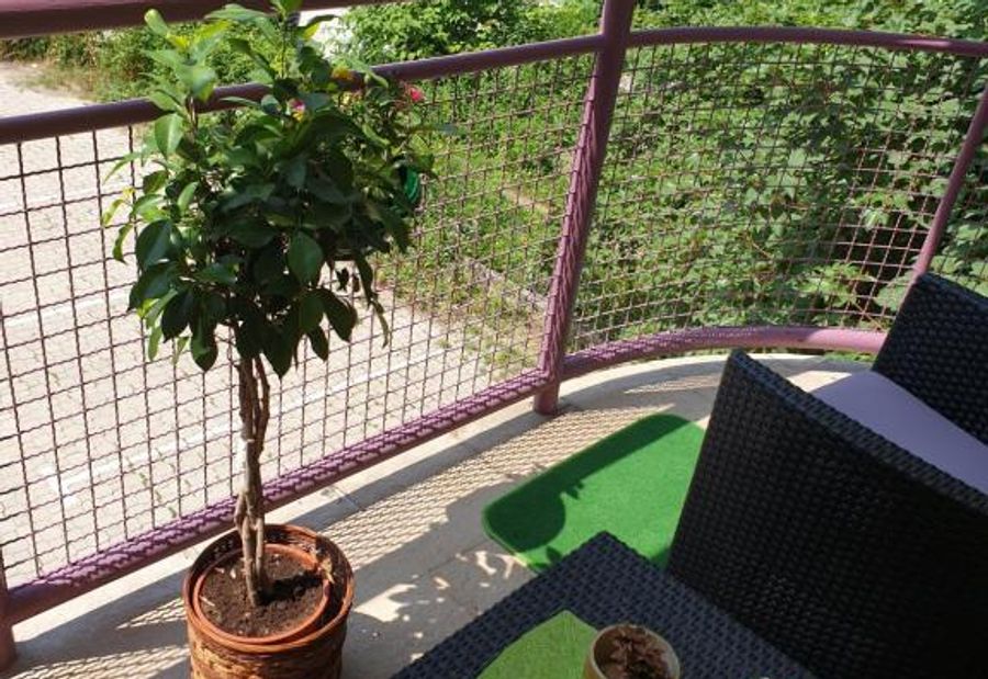 Lux apartman Čačak