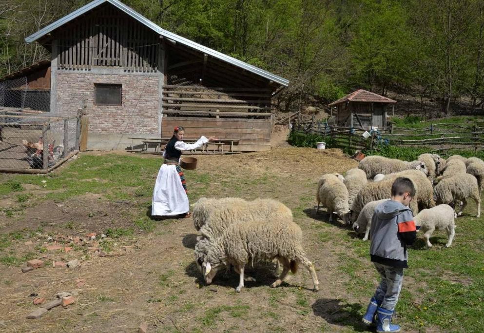 Etno selo Avlija - seosko turističko domaćinstvo