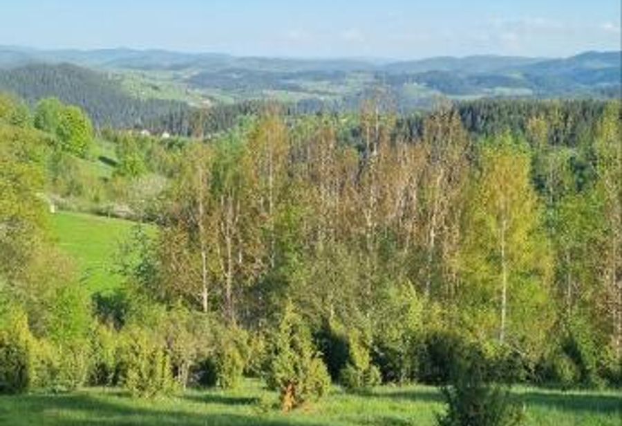 Apartman Studio Teona