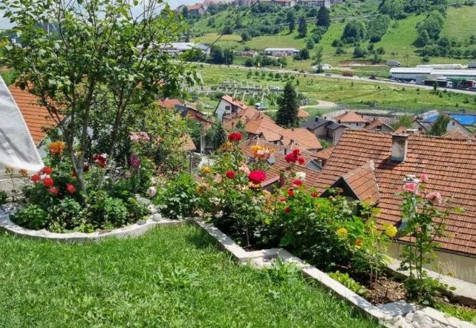 Apartman Studio Teona
