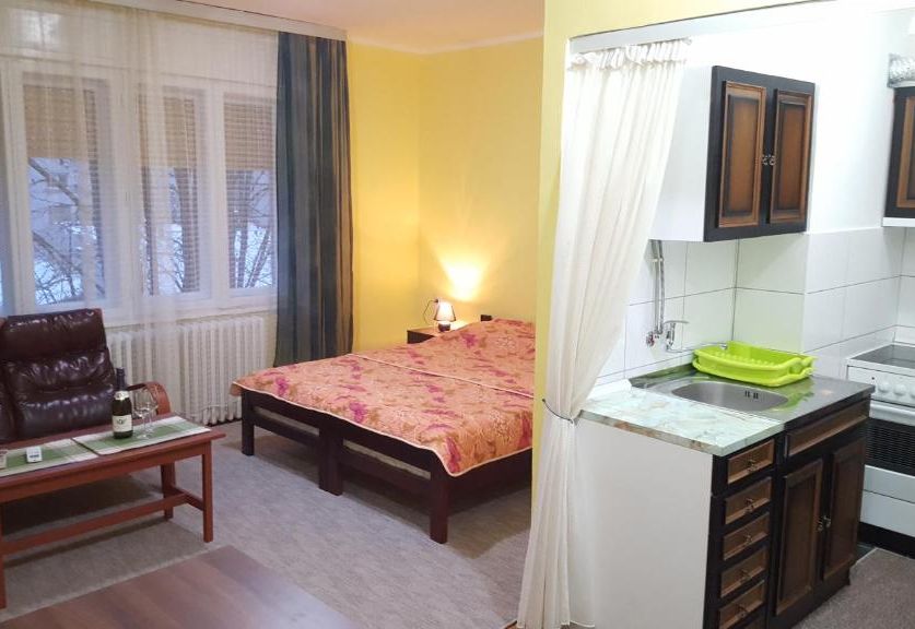 Apartment Roxana Centar