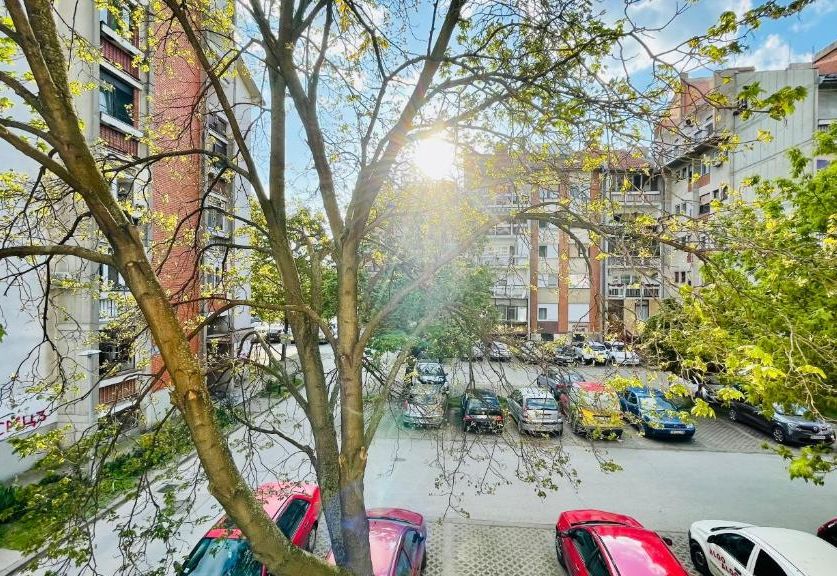 Apartman Jelena