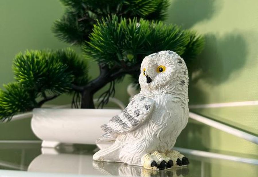 Apartman Studio DIAMOND