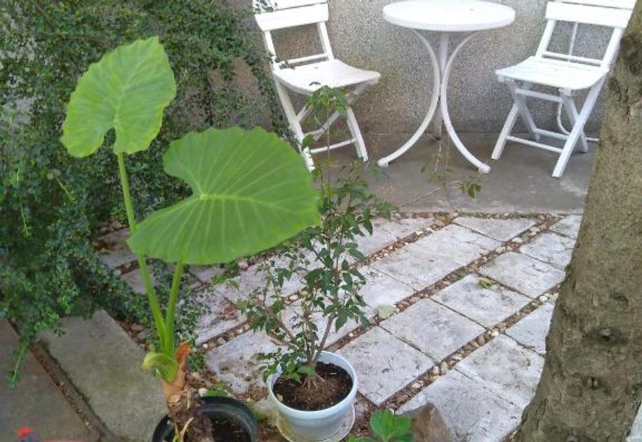 Sandrea I Apartment
