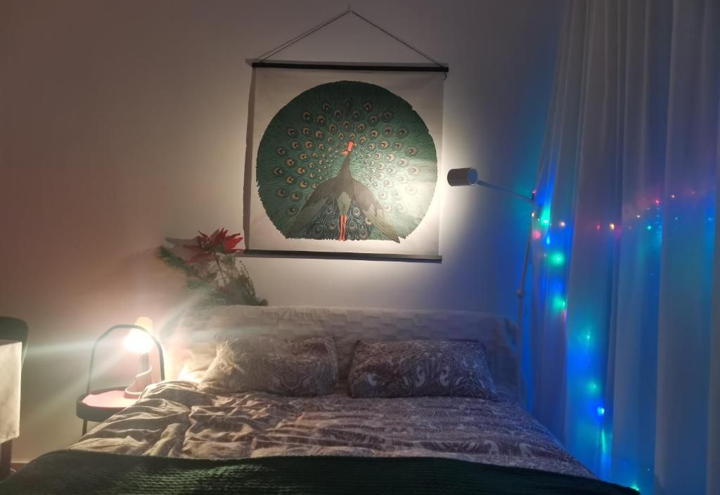 Divčibare Jezero apartman 25